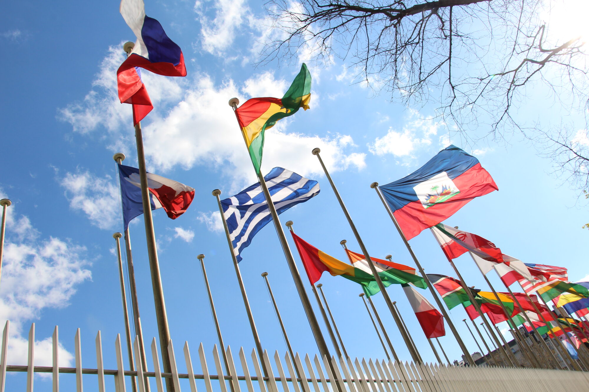 UNESCO Executive Board Reaffirms Youth as a Priority Group and Backs Follow-Up to Young People’s Call for Peace